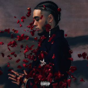 黑人videos巨大hd粗暴的影响
